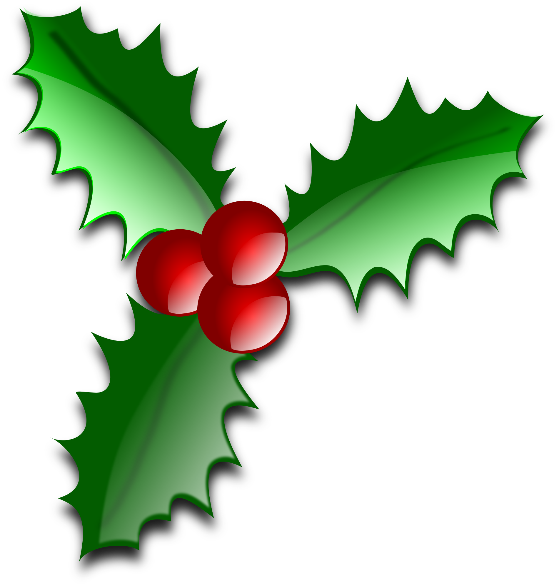 Holly